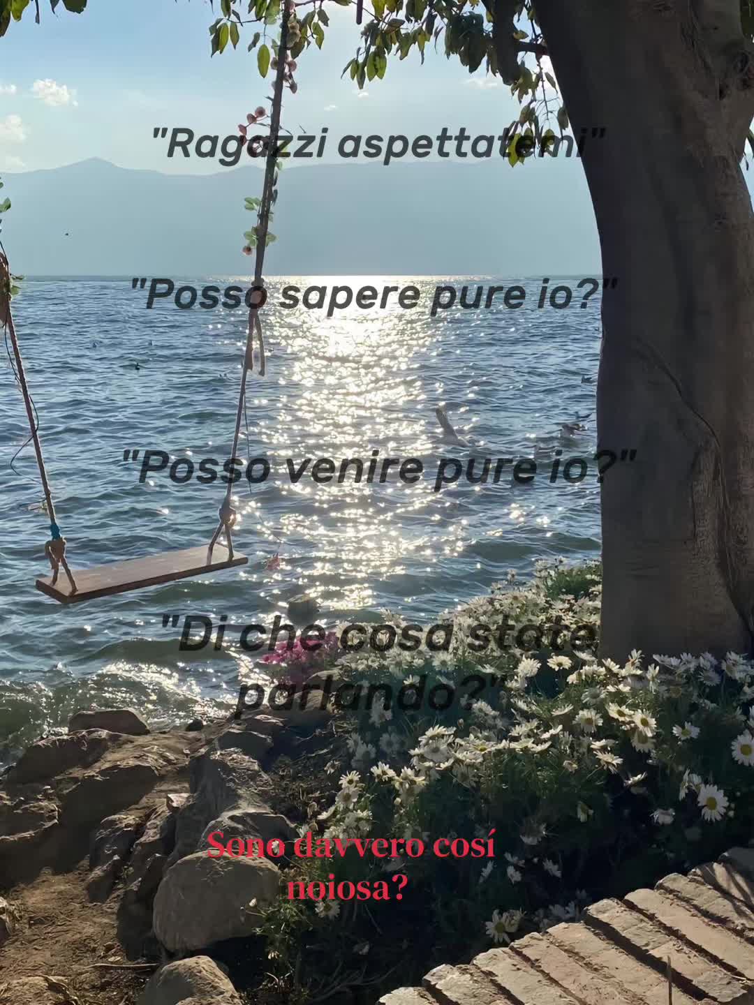 @sfogo
