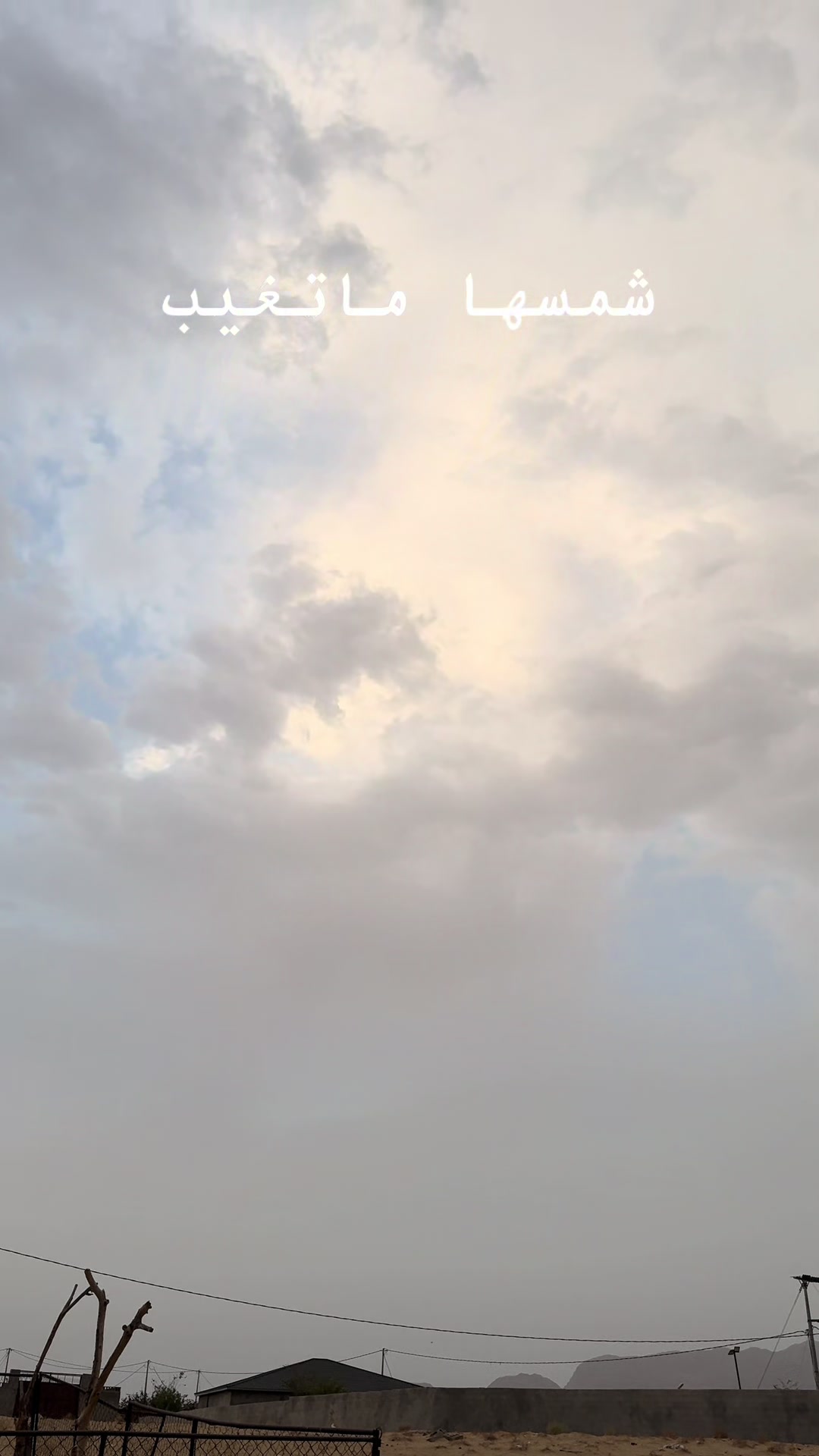 @فاطمة العَمري🌸