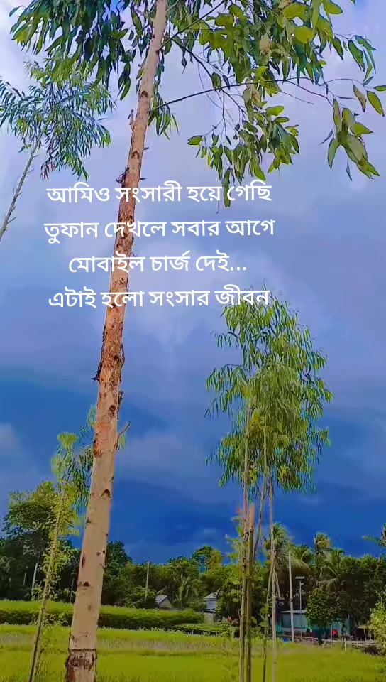 @😘আল-আমিনের বউ😍