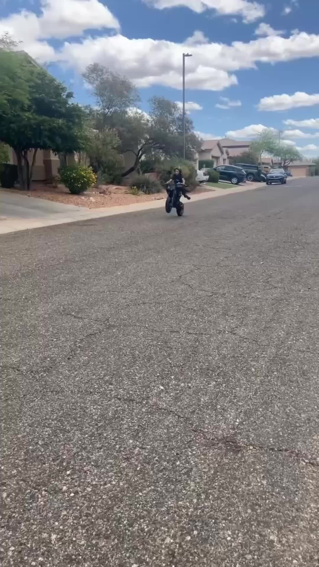 @Lilporkjr3