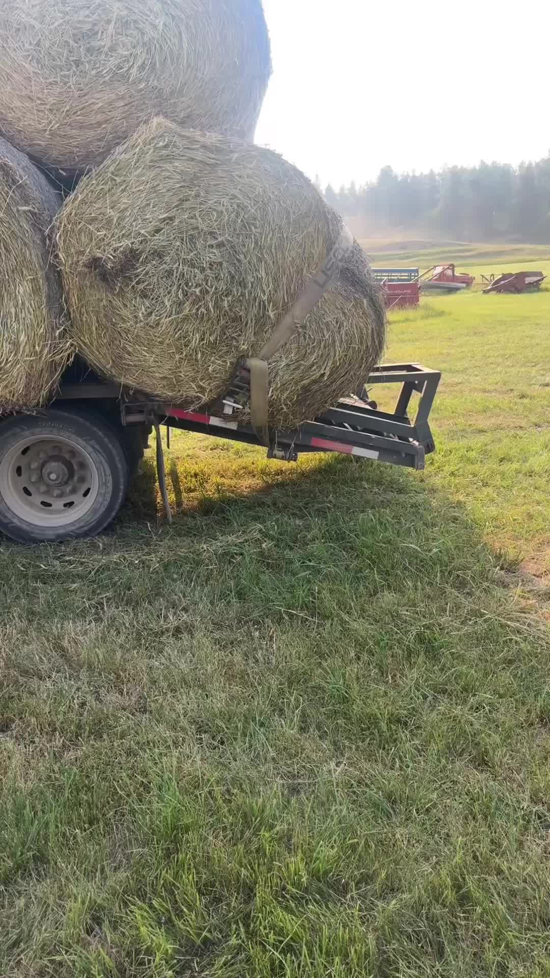 @Levi Garrett