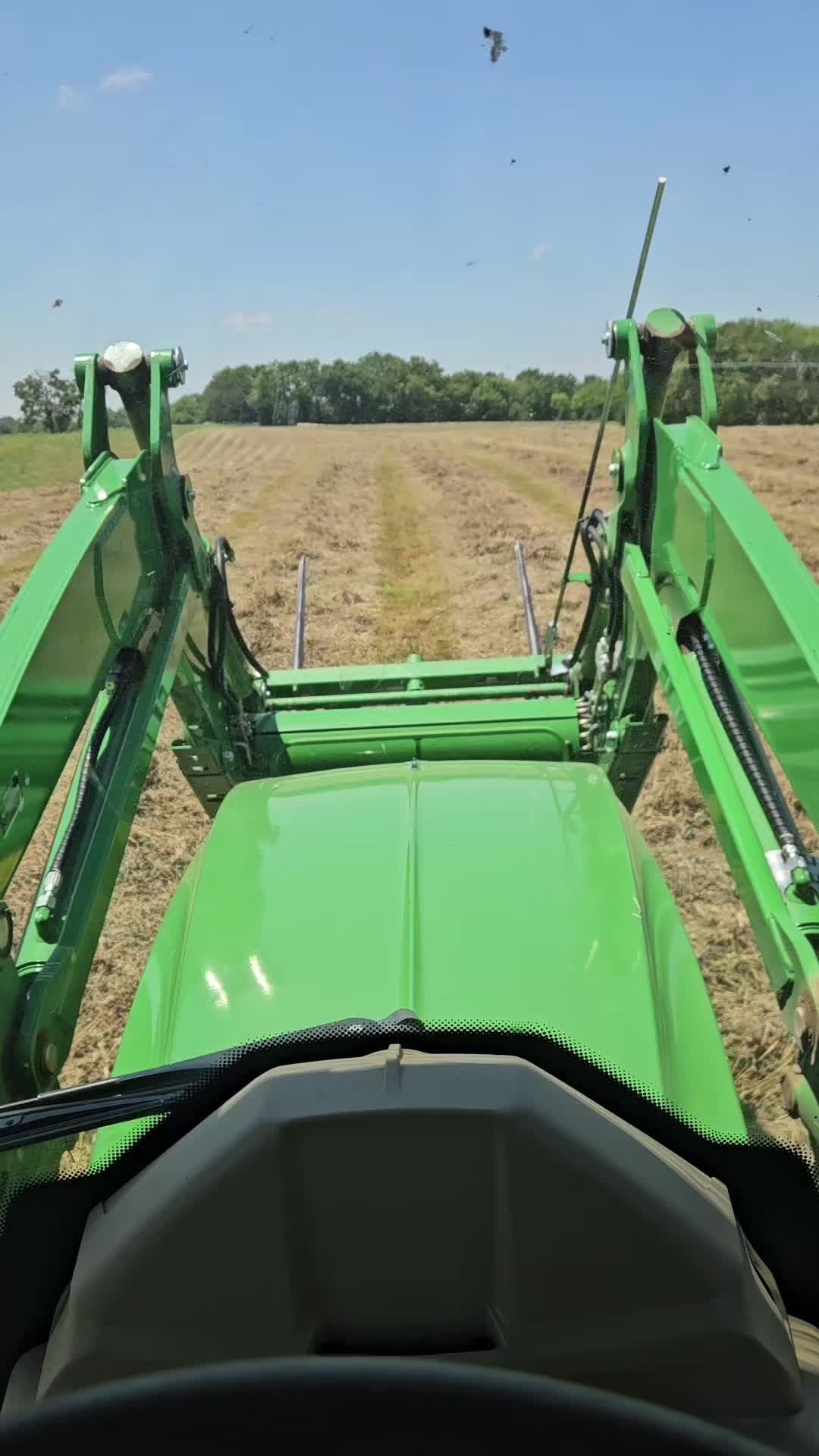 @hoggerwsa