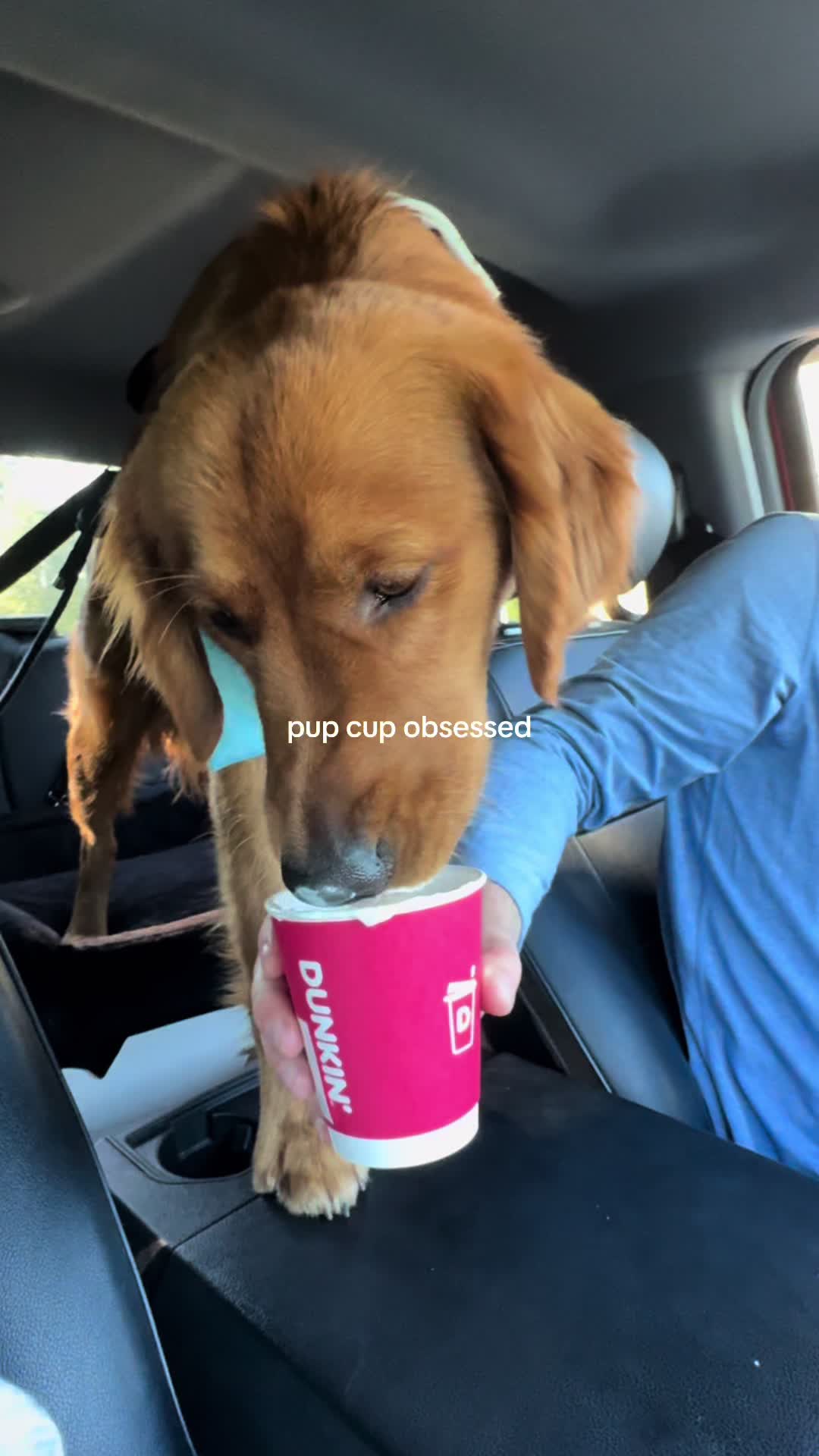 @Finn the Golden