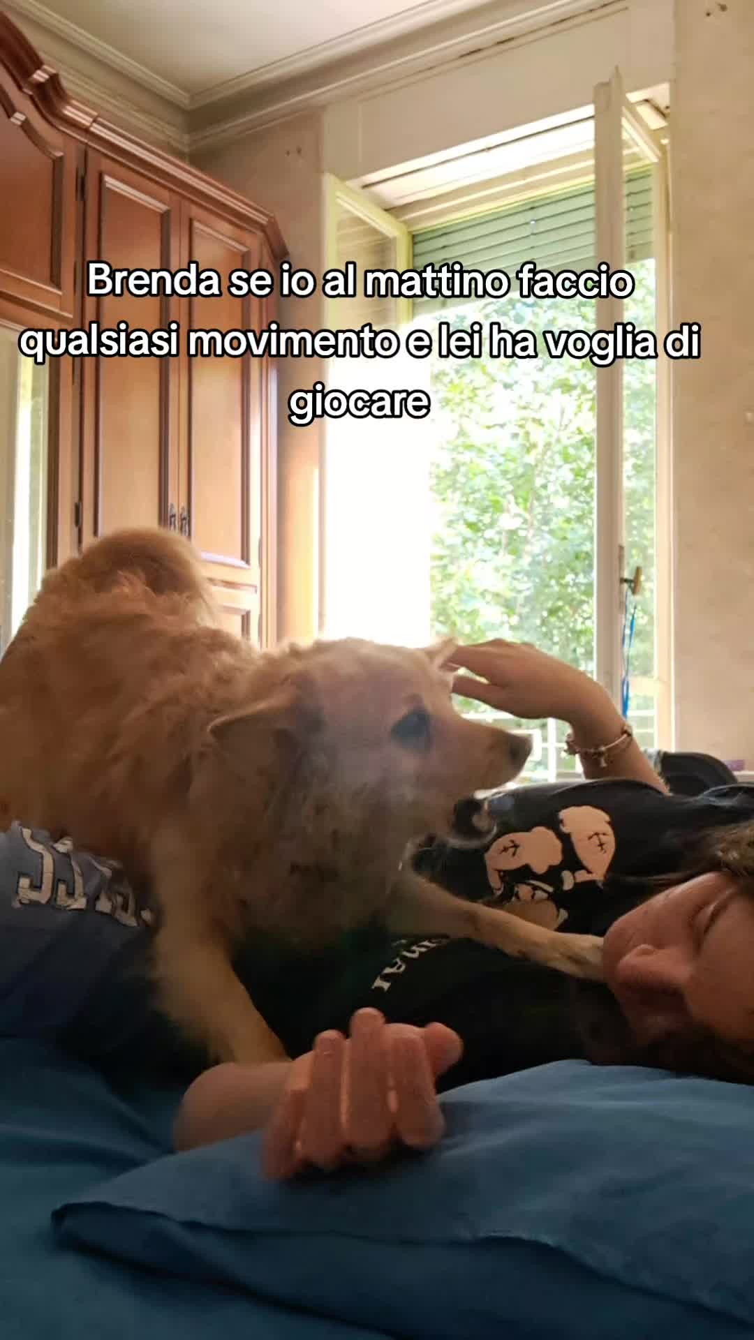 @Sara