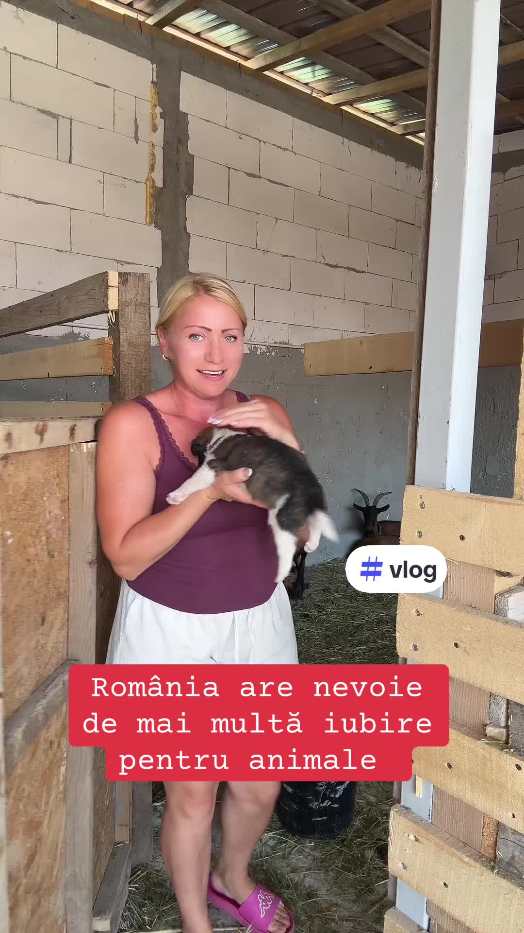 @Nicoleta