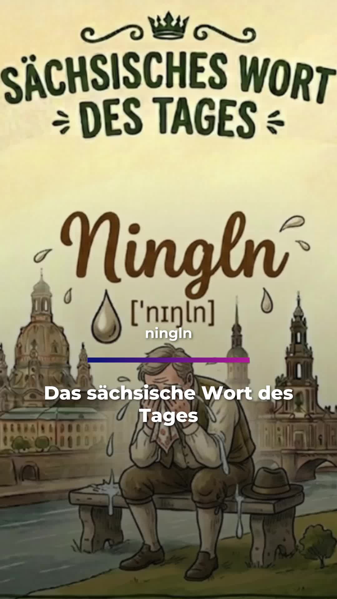 @Sachsen Fernsehen