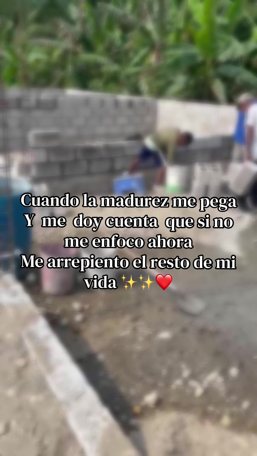 @Anayeli Orellana