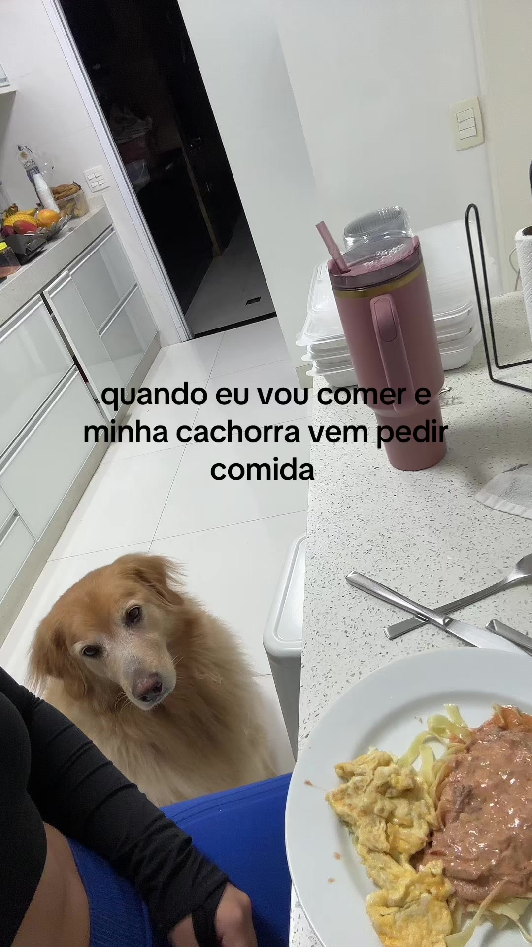 @laura périco