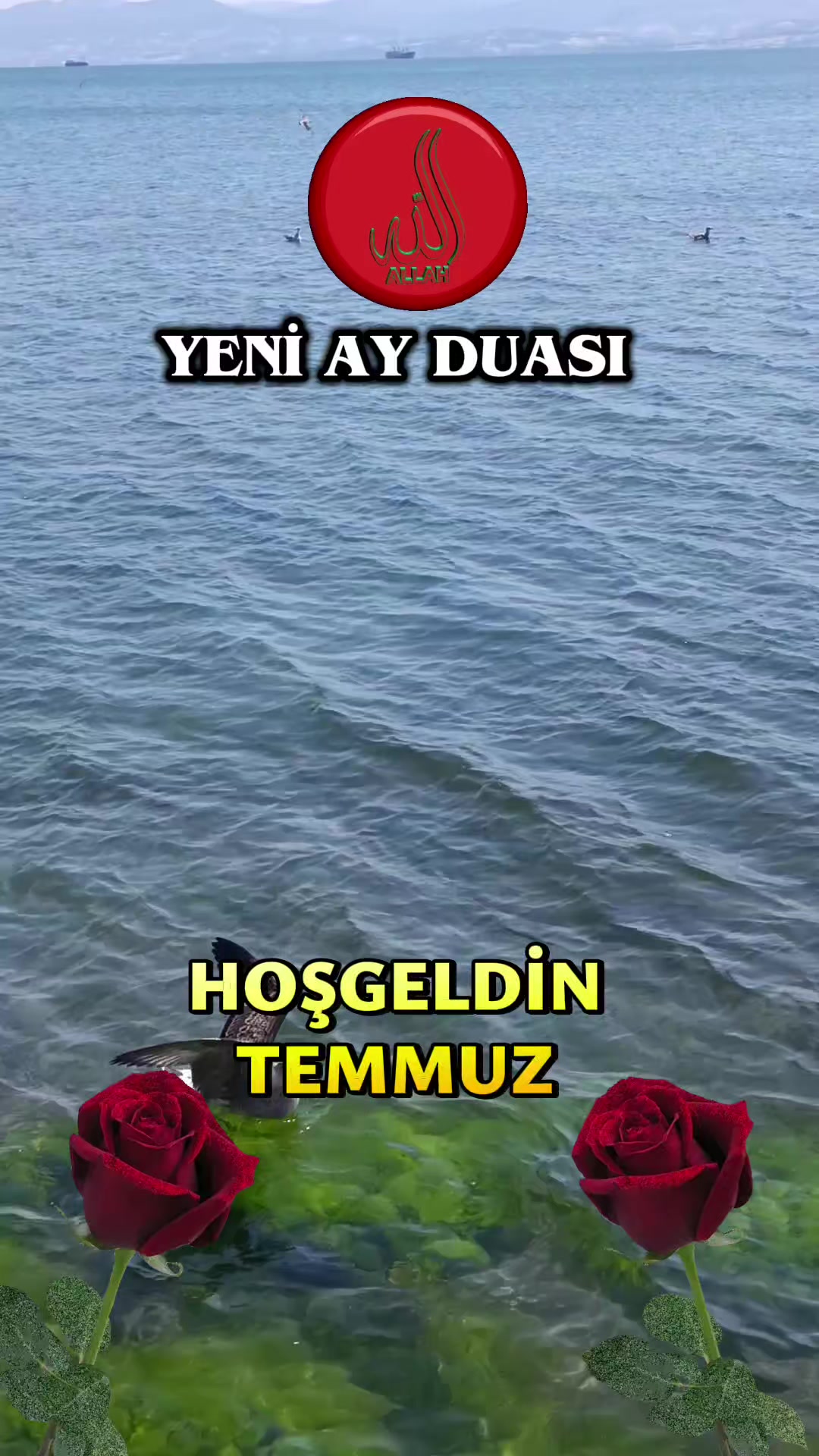 @@hayatsevinceguzel5537