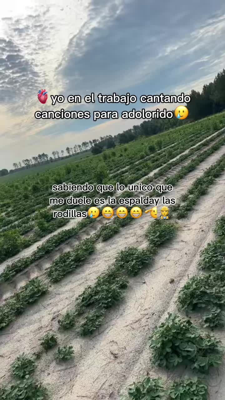 @Brigitte CZ