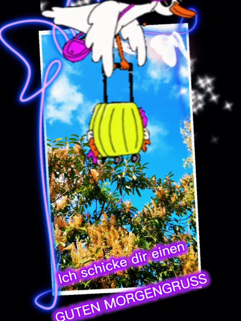 @tiktok.omimoni