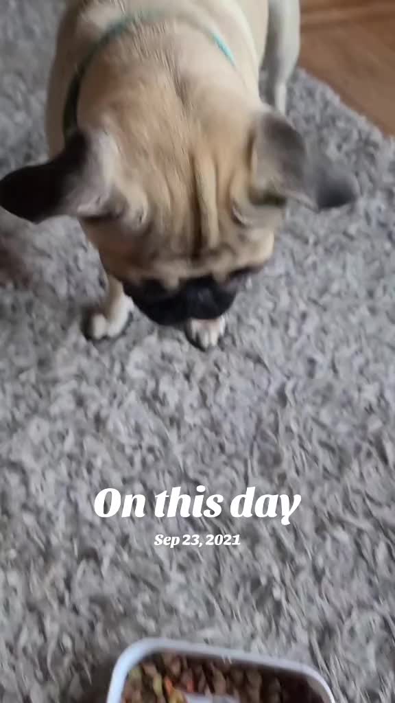 @crustaceanmary