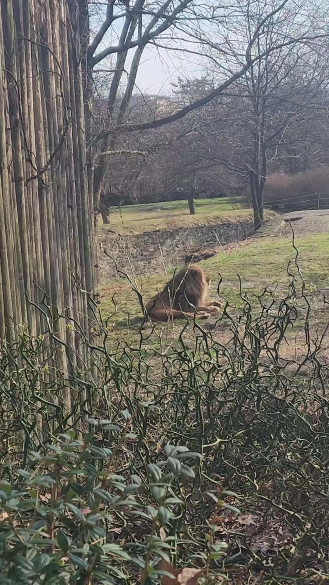 @Eli Go 502🇬🇹🥰♥️❤️🩹