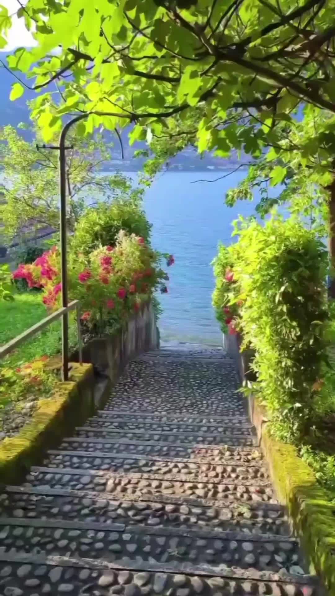 @Pari786