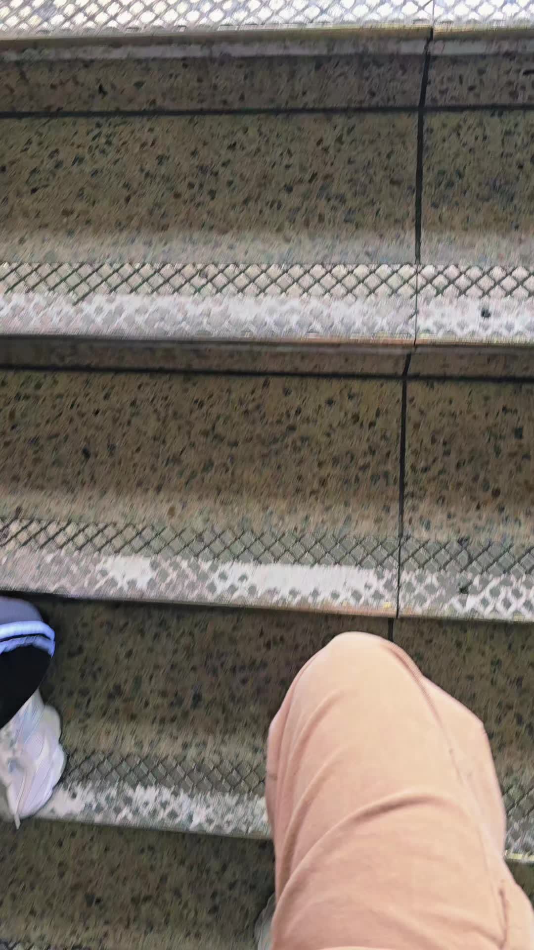 @Angela 🐨
