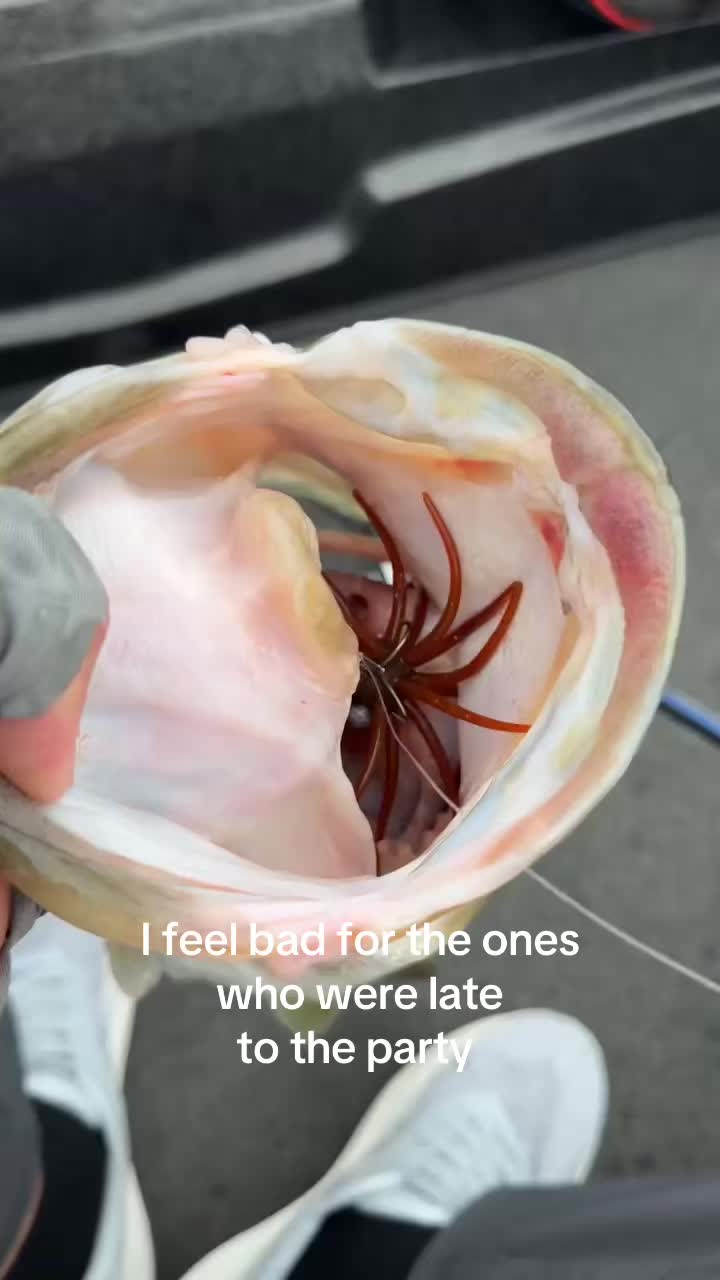 @LambFishing
