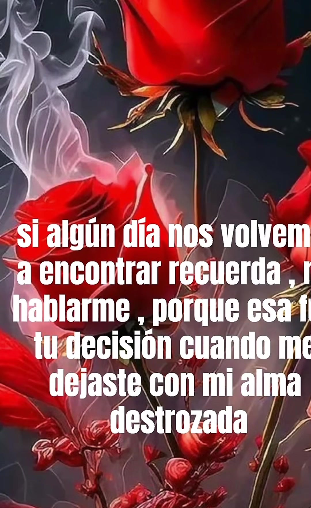 @🐄 Tus 🐻faboritas58🧸 🐎
