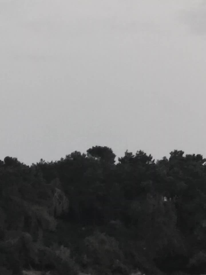 @bs şæŗðæŕ