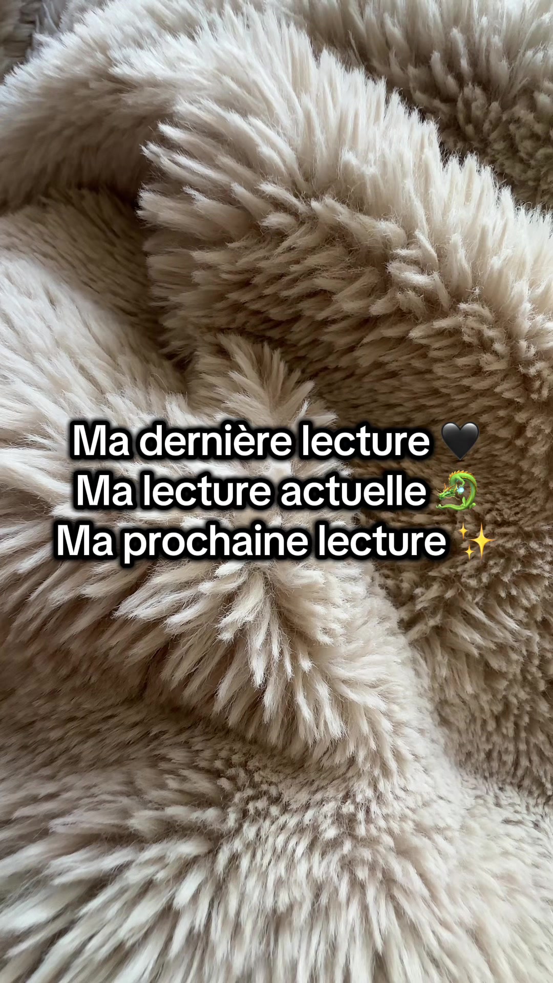 @🦉Noctua 🌘🖤