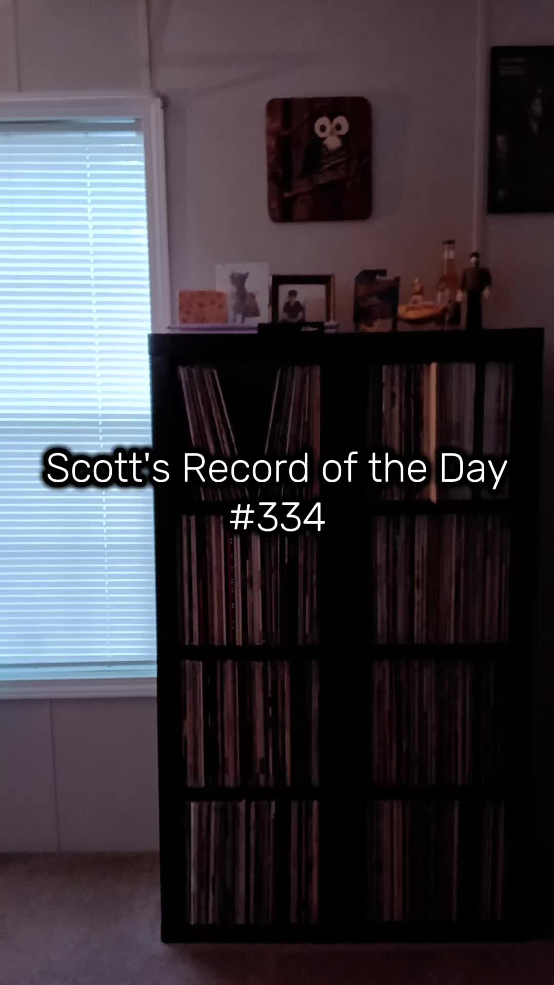 @Scott Reed ❌️