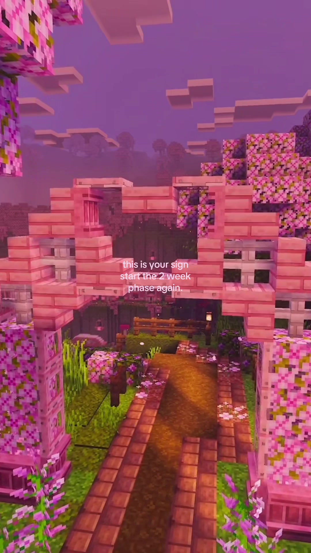 @⋆˙⟡ 𝑚𝑎𝑑𝑧𝑖 𐙚⋆.˚