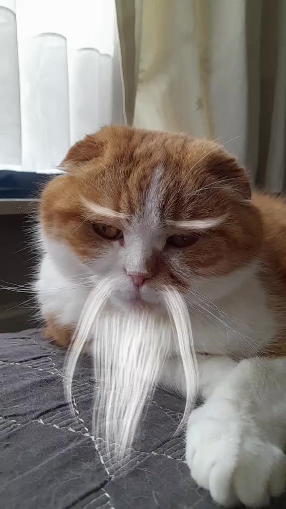 @Anneke & Simba
