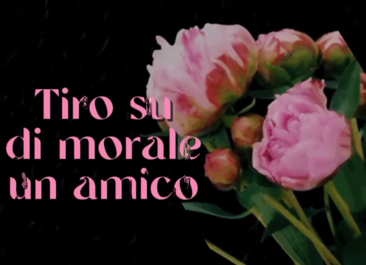 @❦._.✿
