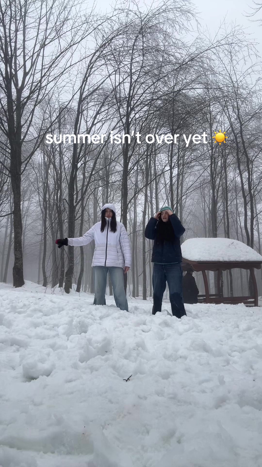 @yazzygmr