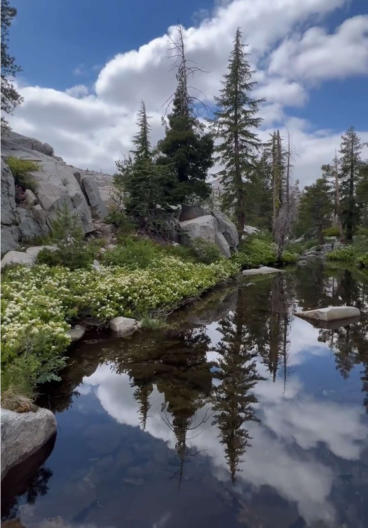 @trailfairy