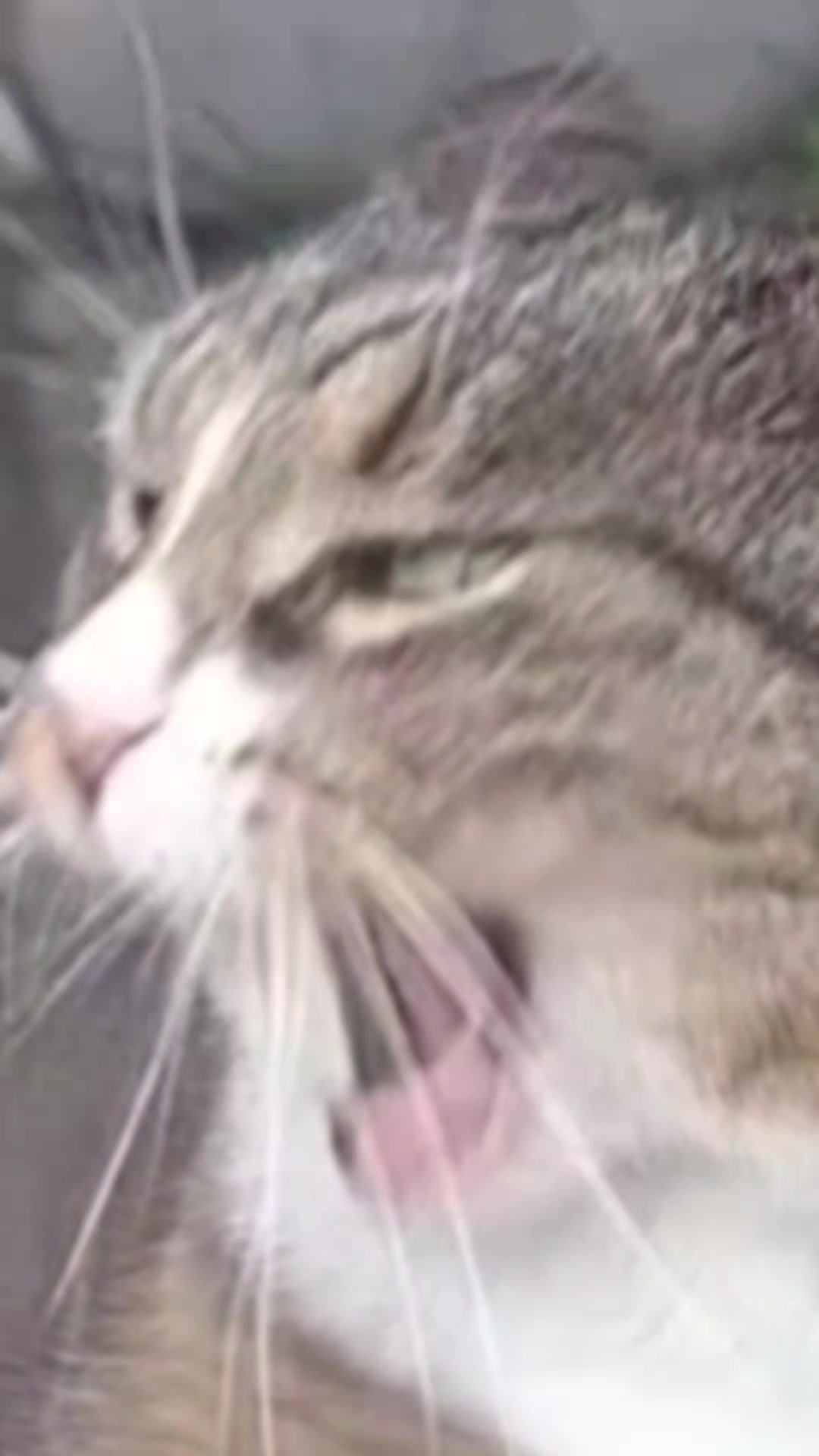 @pether