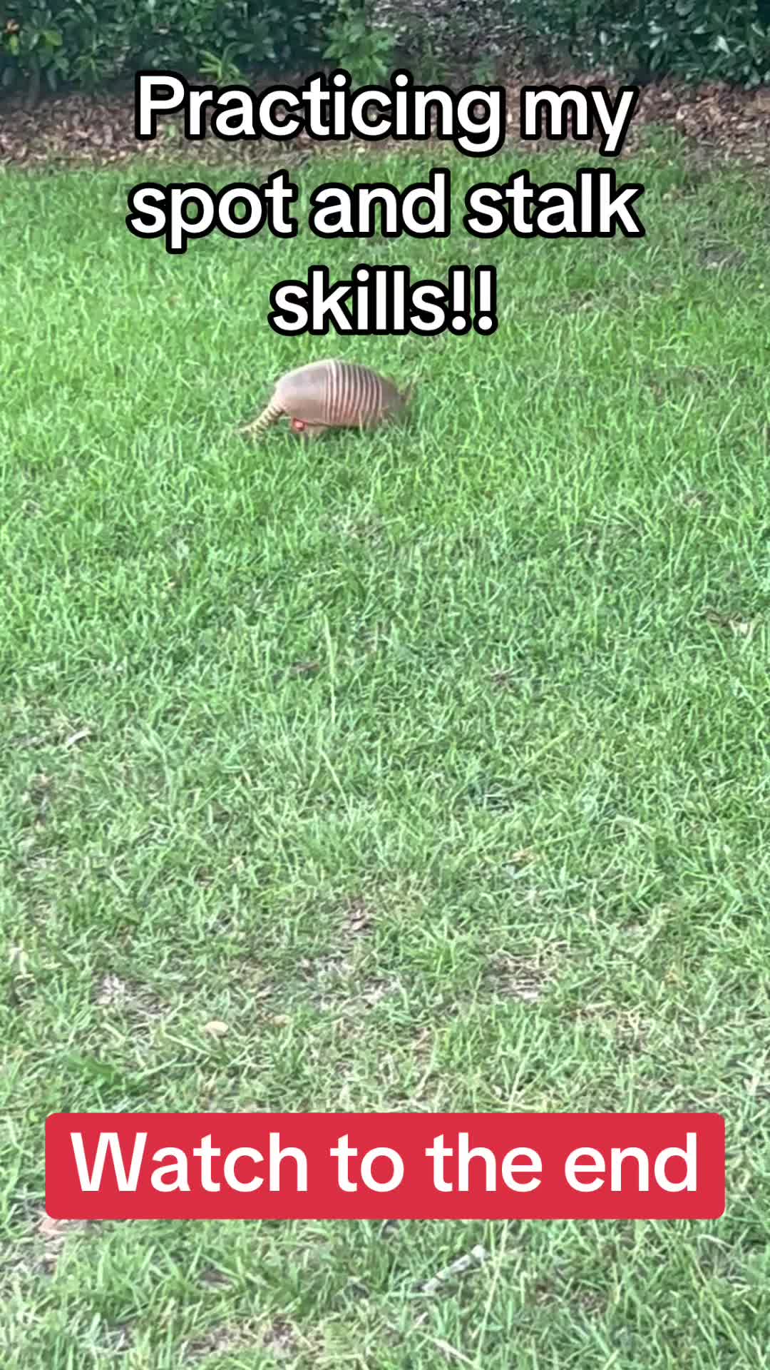 @devotedsportsmen23