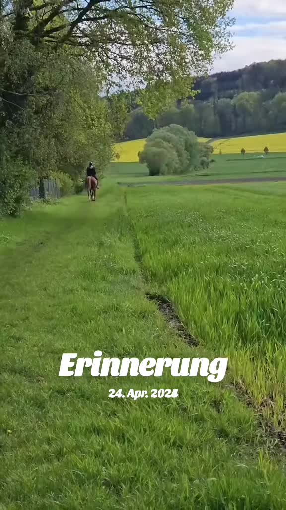 @Vanessa Kloda