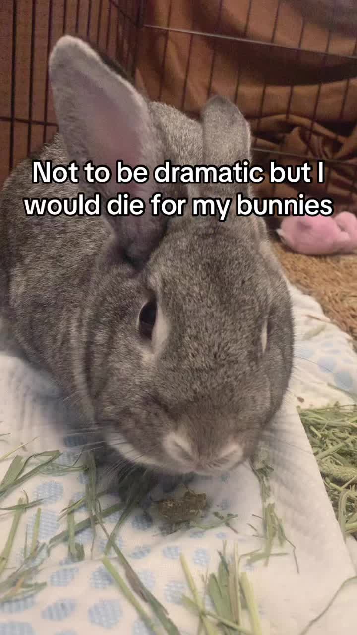 @interestinglilcreature
