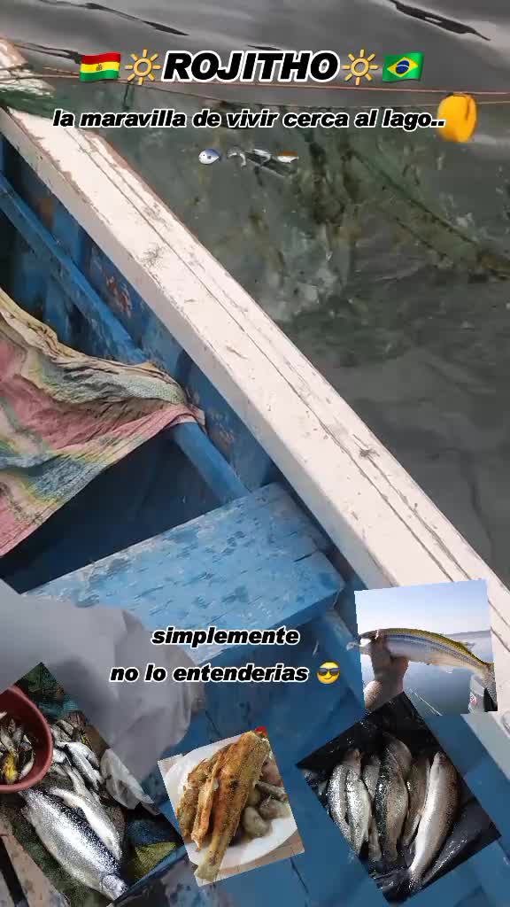 @ROJITHO 🔆