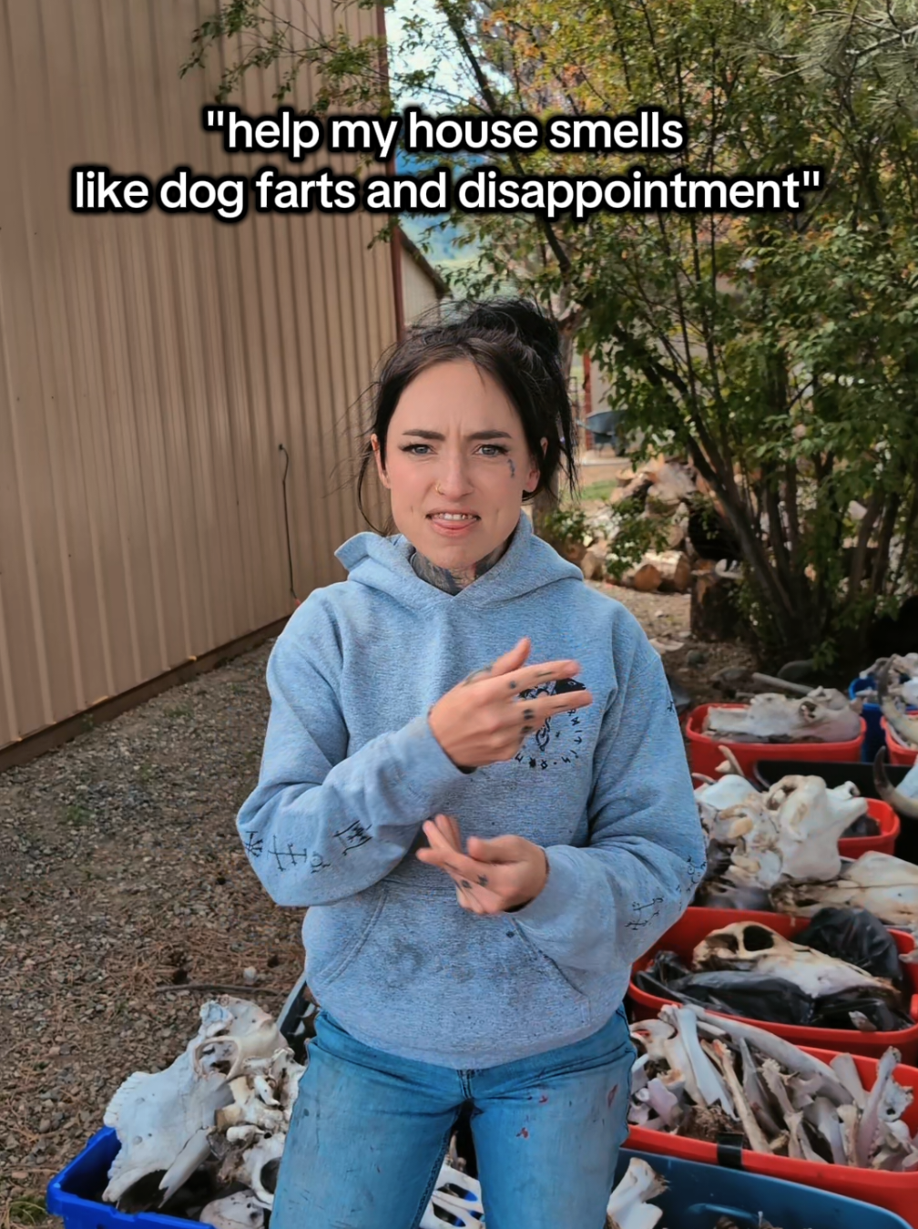 @oreamnosoddities