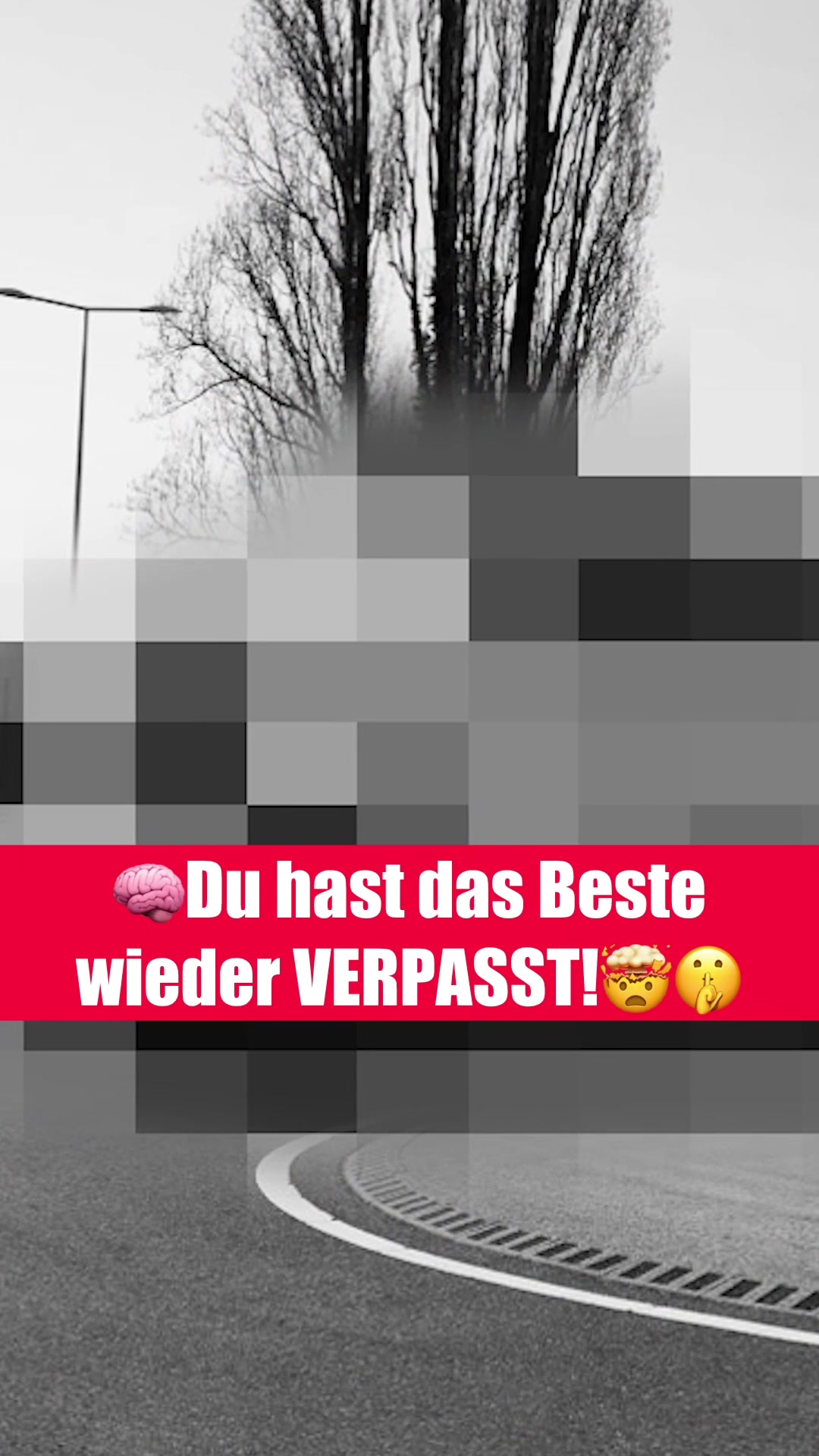 @wissensbert