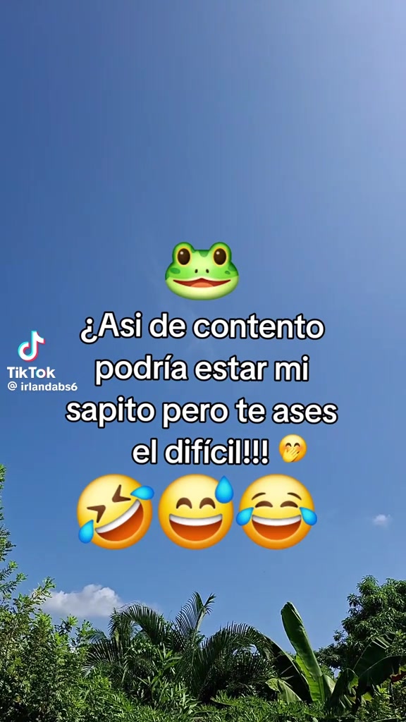 @Yolanda V&aacute;squez