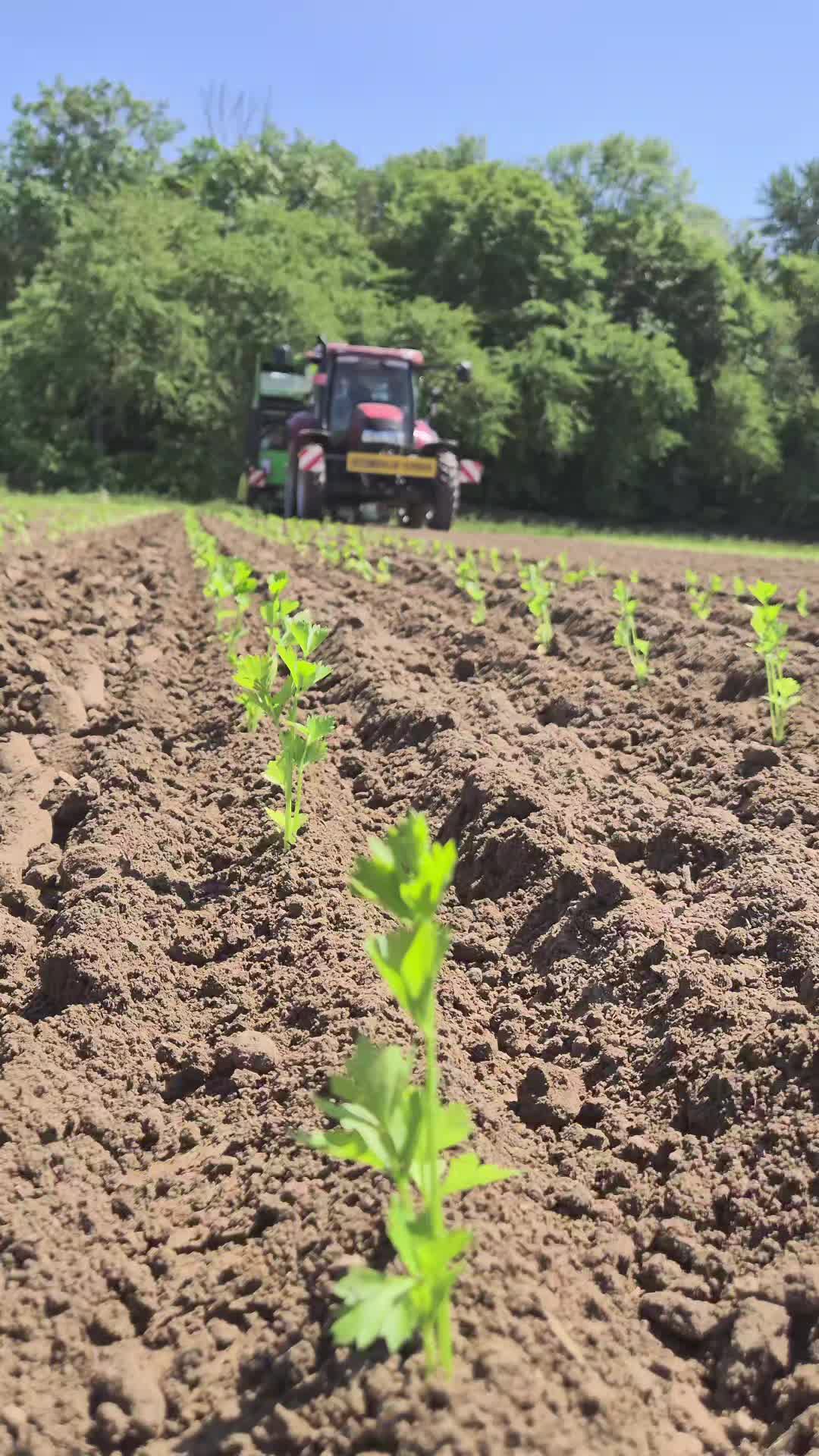 @Agriplant