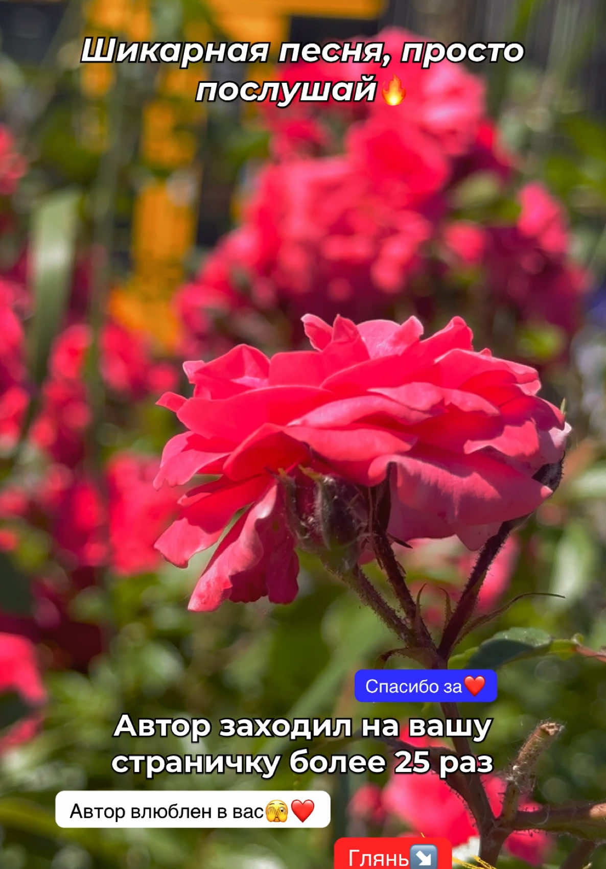 @❤️&zwj;🔥Просто Человек🎧