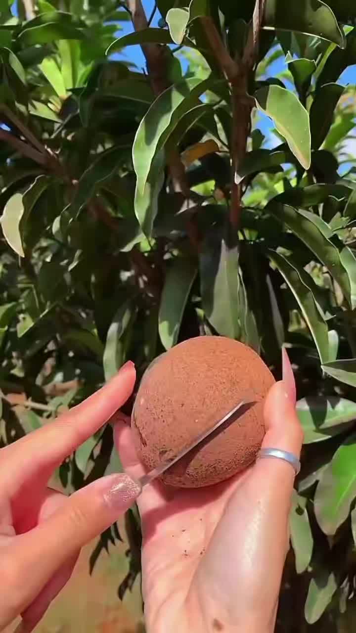@Fruits🍑 Video