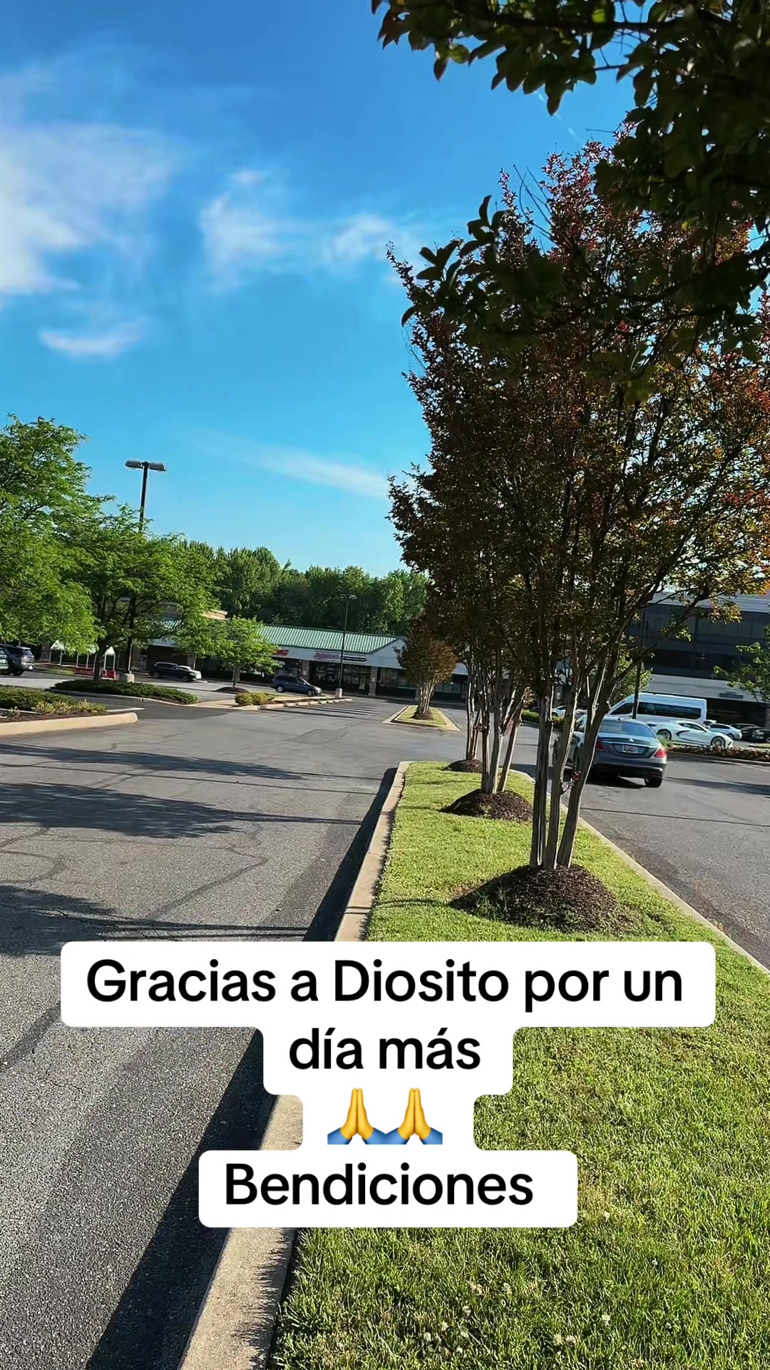 @Agusto Hernández