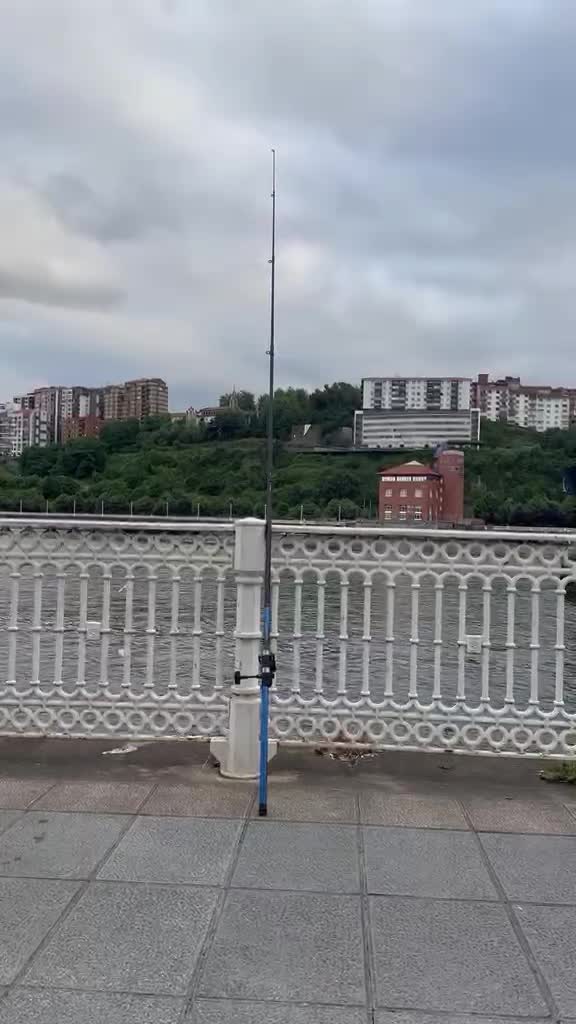 @Zagalo007