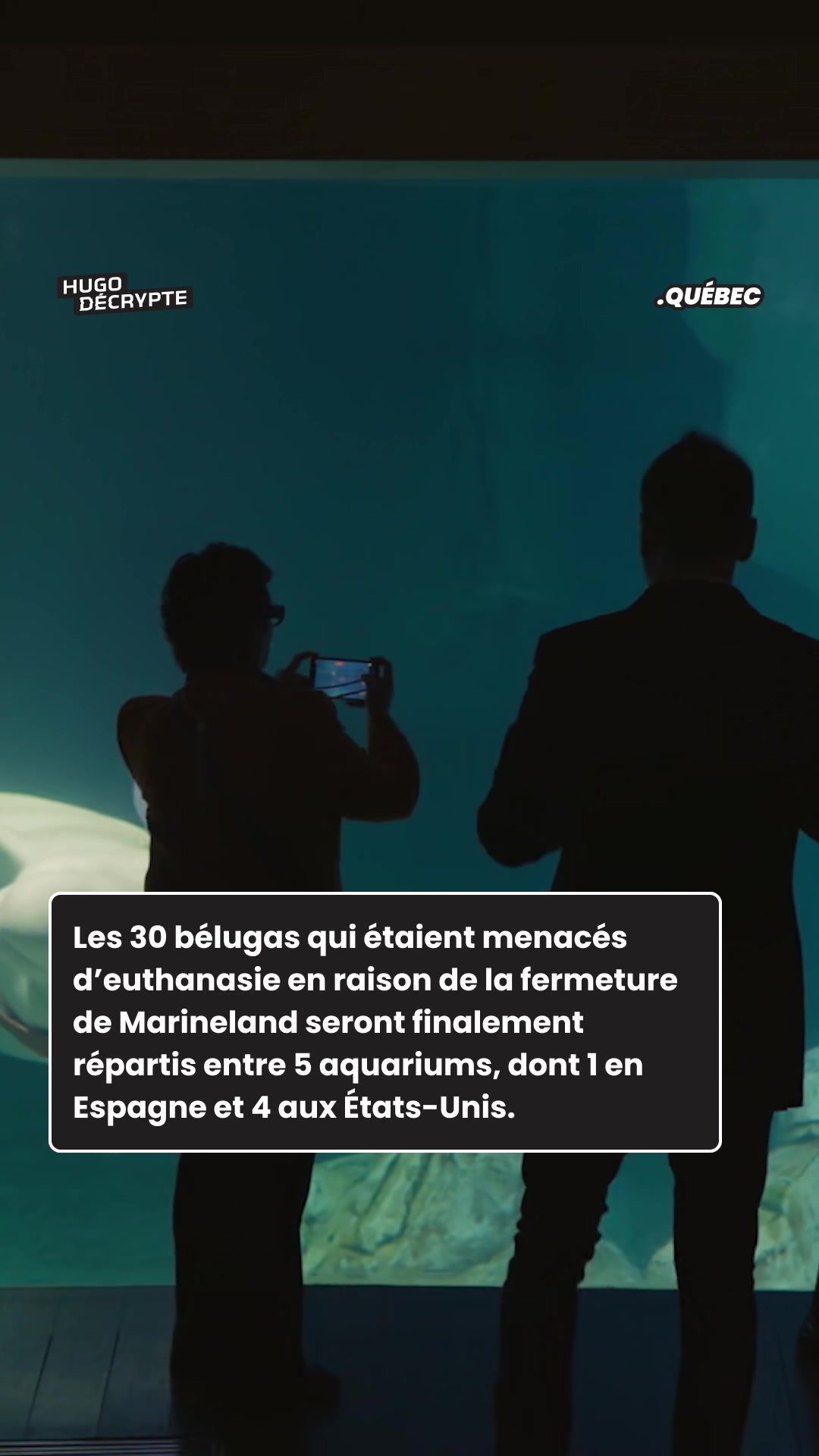@hugodecrypte.quebec