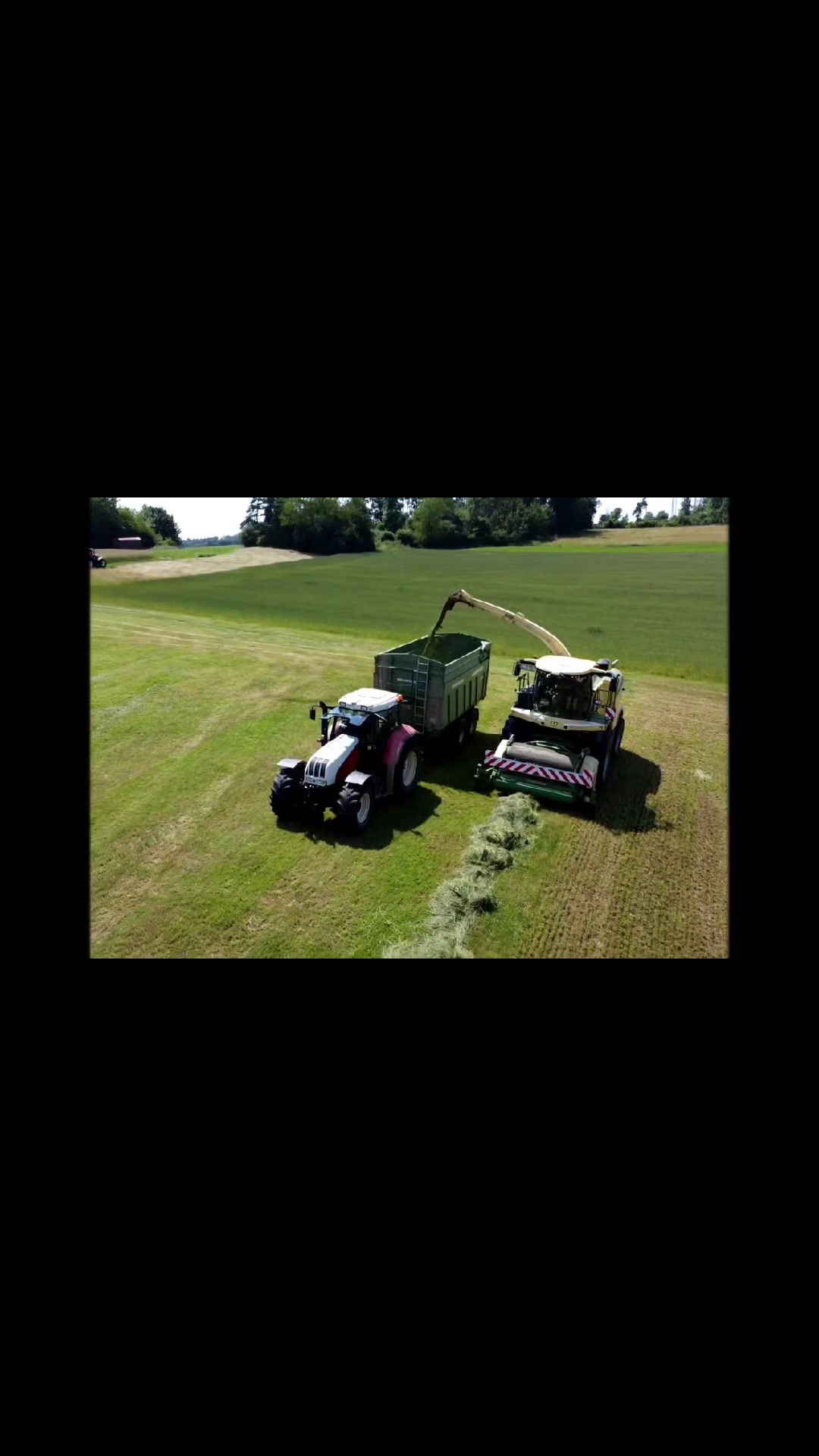 @Bauer Richter 🐱🚜