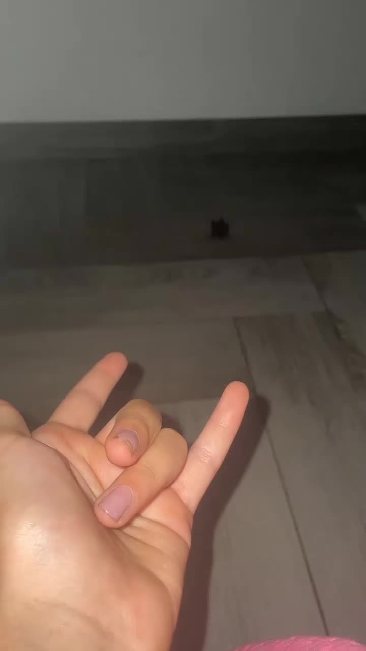 @♾️🌸_G_🌸♾️