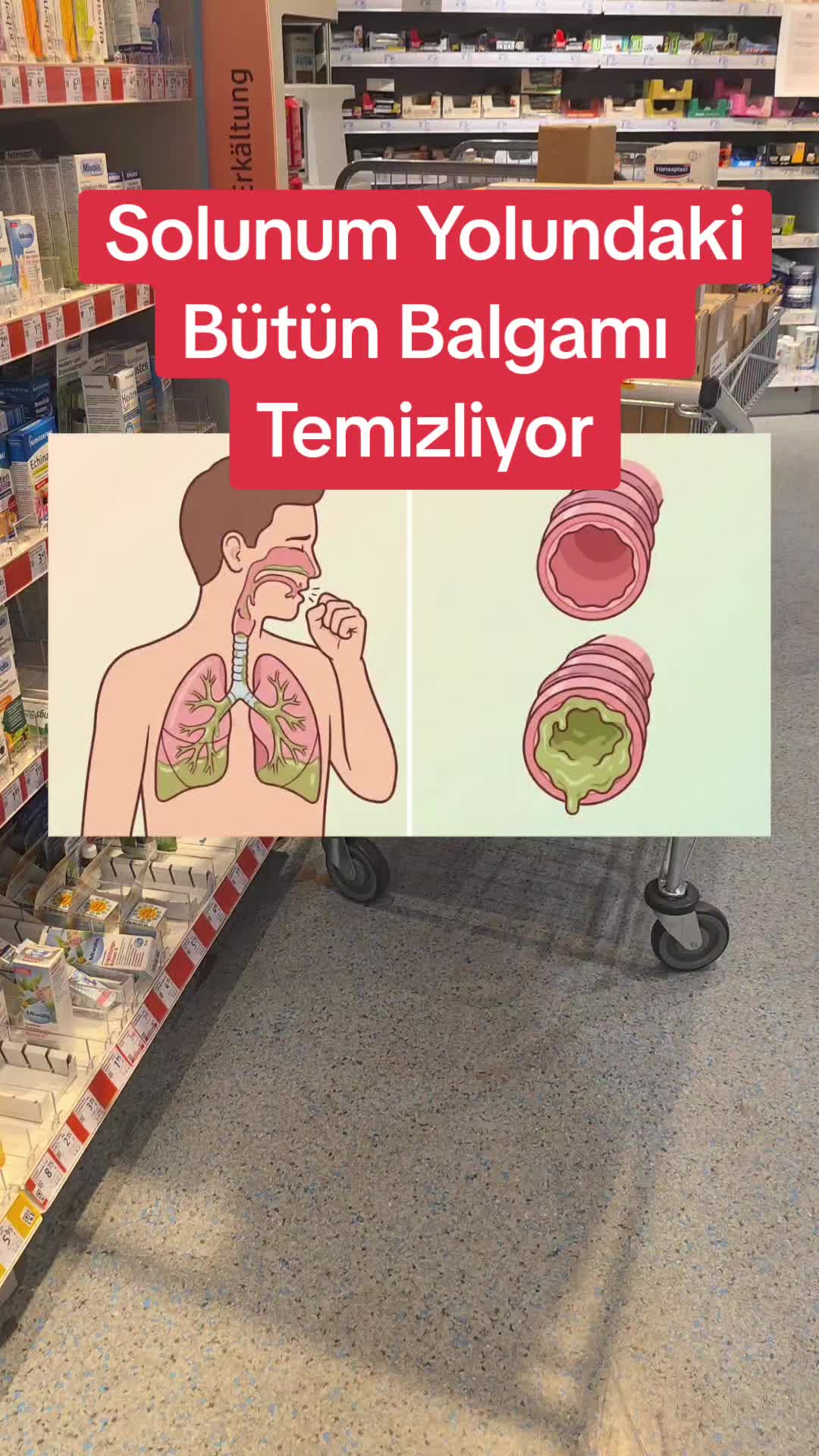 @Gurbet Ana