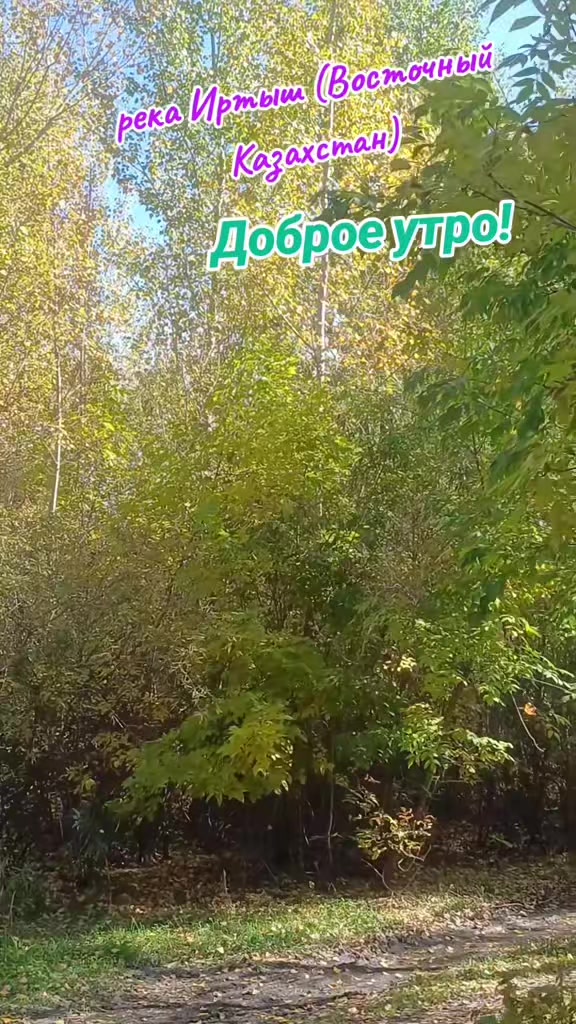@Надежда🇰🇿