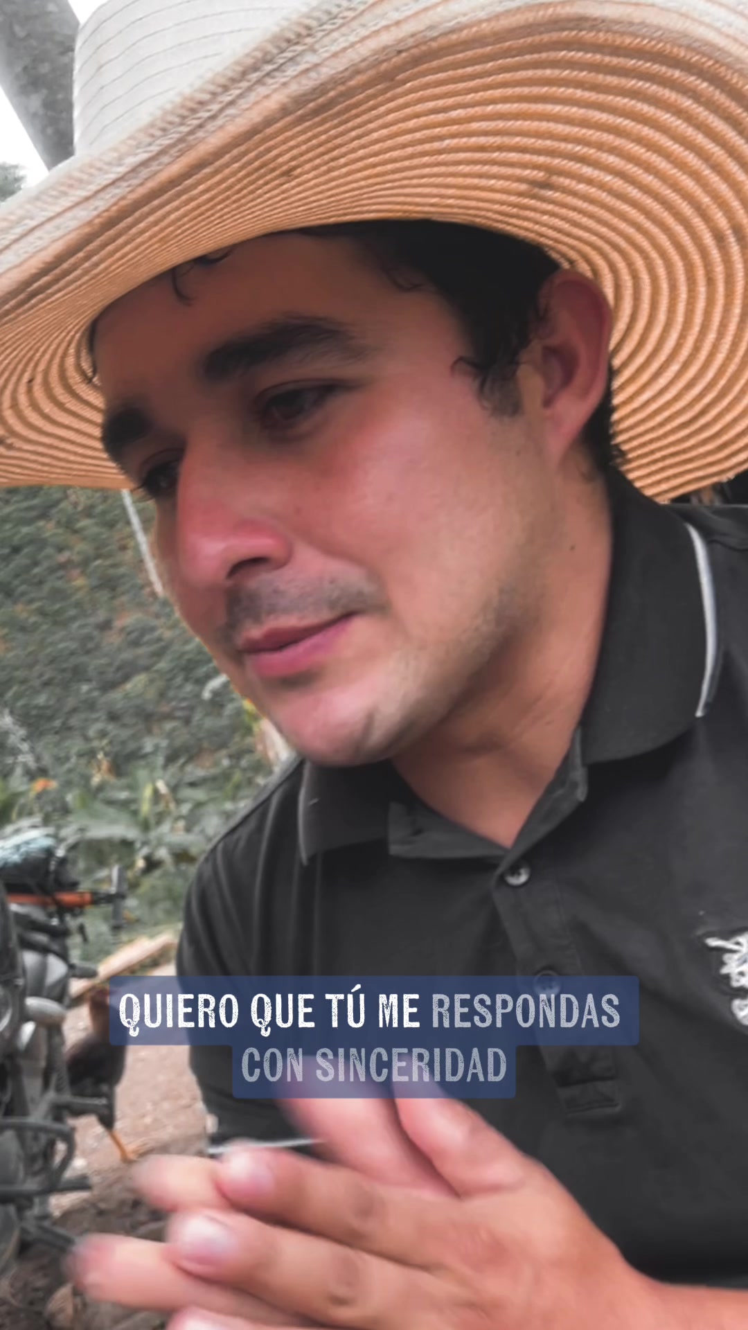 @Alfredo Parra oficial1