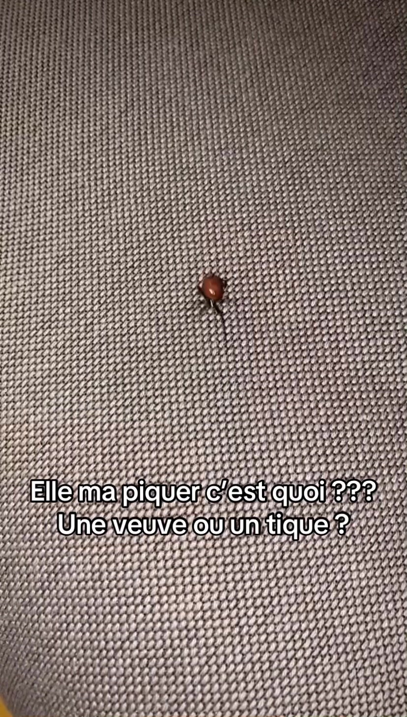 @Eneskoo75 🥊⚽️🗽🧿