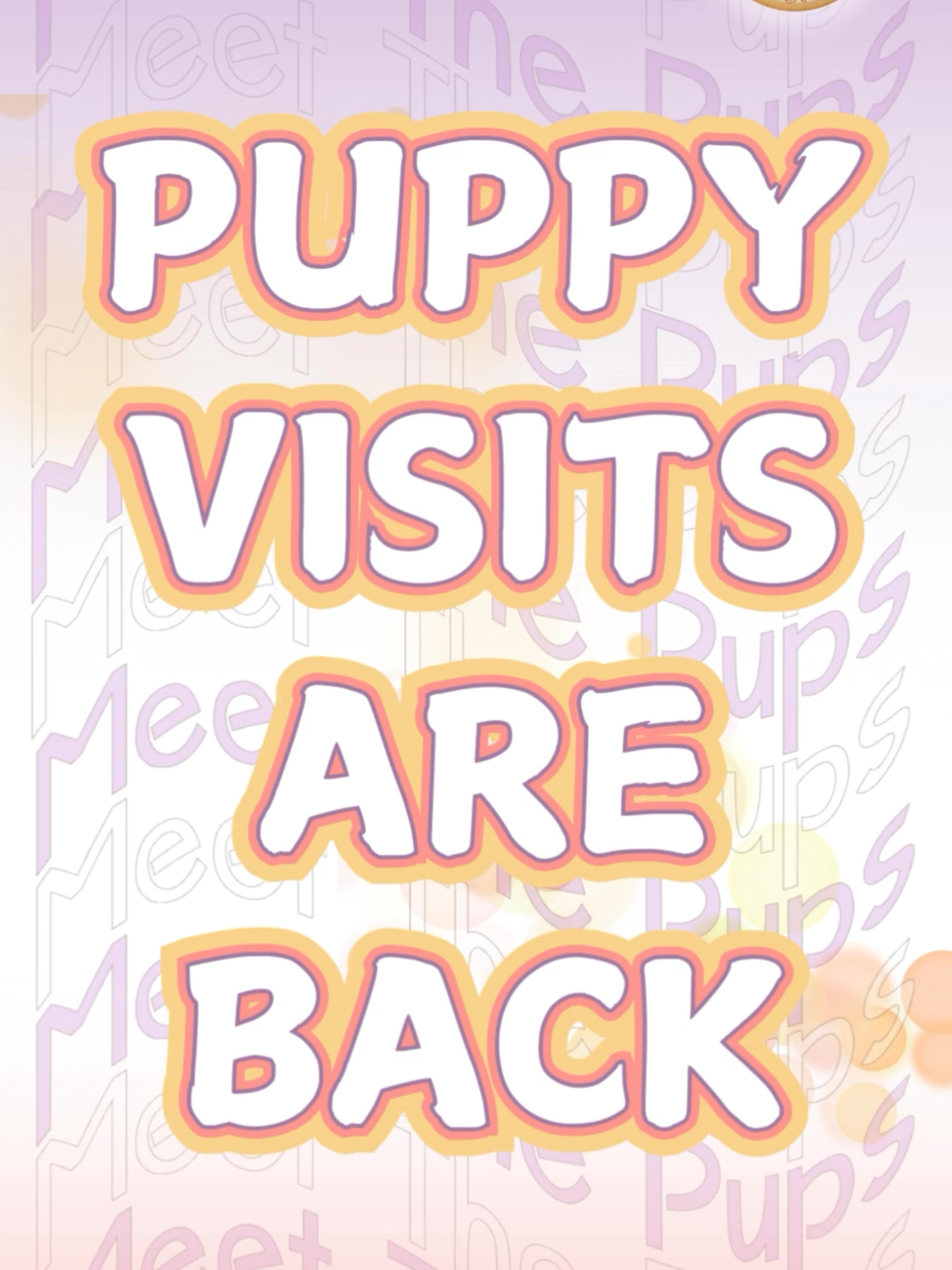 @Fort Worth Pit Puppies